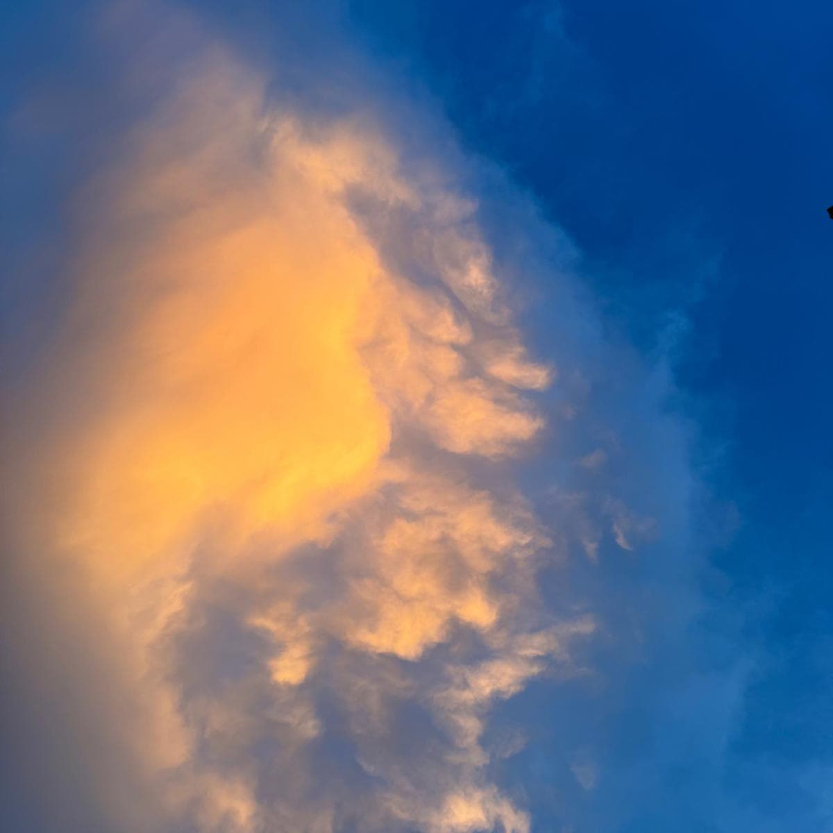 nube 2 copia